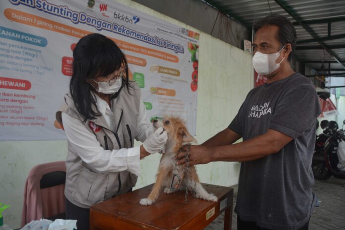 Pemberian Vaksin Gratis oleh Dokter Hewan (Foto : Pemkot Jogja)