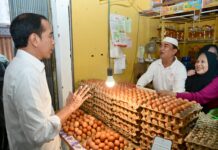 Presiden Jokowi Tinjau Harga Kebutuhan Pokok di Samarinda