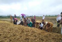 Kementerian PUPR Mendukung Pengembangan Food Estate di Humbahas