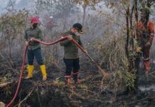 Wamen LHK Memimpin Upaya Penanganan Karhutla di Kalimantan Selatan