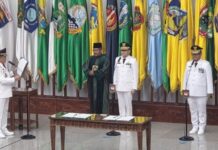 Mendagri Minta Pj Gubernur Sumatra Selatan untuk Tangani Karhutla