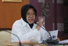 Kolaborasi Kemensos dan Gereja Katolik Papua untuk Mengatasi Kekurangan Guru di Sekolah Pedalaman