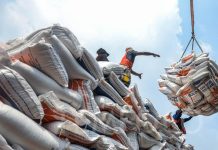 Pemerintah Optimis Tak Perlu Impor Beras di 2025 Ilustrasi Impor Beras (Foto: Tempo)