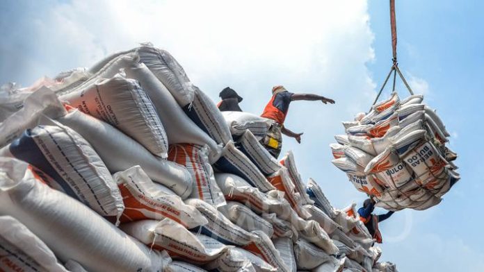 Ilustrasi Impor Beras (Foto: Tempo)