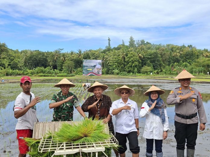 Bersama masyarakat dan jajaran Forkopimda, Pemkab Sleman turut ambil bagian dalam gerakan nasional tanam padi serentak bersama Presiden RI, demi ketahanan pangan dan produktivitas pertanian yang lebih baik, Rabu (23/4/2025).(Foto: RRI) Bersama masyarakat dan jajaran Forkopimda, Pemkab Sleman turut ambil bagian dalam gerakan nasional tanam padi serentak bersama Presiden RI, demi ketahanan pangan dan produktivitas pertanian yang lebih baik, Rabu (23/4/2025).(Foto: RRI)
