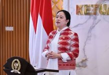 Ketua DPR RI, Puan Maharani (Foto: Ist)