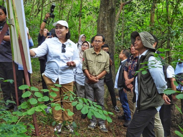 Menteri Kehutanan Raja Juli Antoni (kanan), saat mengunjungi Suaka Margastwa Paliyan Gunungkidul, Selasa (6/5/2025). (Foto: BKSDA Yogyakarta)