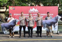 Kapolda DIY Irjen Polisi Anggoro Sukartono (tengah) ketika menghadiri seremoni penyerahan bantuan hewan kurban, Kamis (5/6/2025) siang, di Mapolda DIY. (Foto: Bidhumas Polda DIY)
