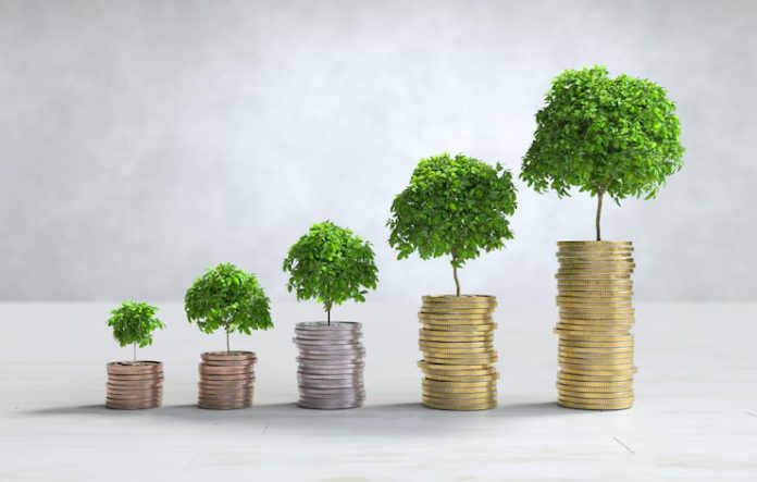Ilustrasi Investasi (Foto: Istimewa)