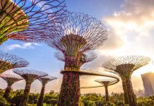 Gardens by The Bay Singapura - Foto: Istimewa