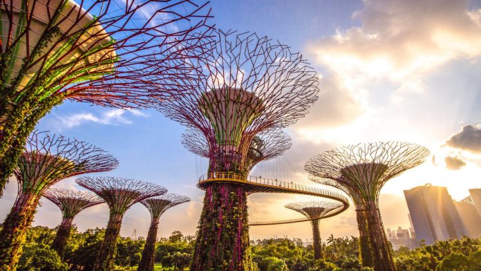 Gardens by The Bay Singapura - Foto: Istimewa