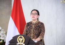 Ketua DPR RI, Puan Maharani (Foto: Istimewa)