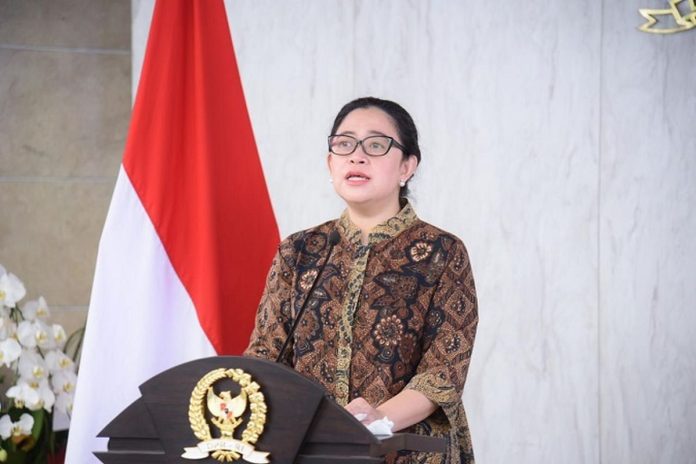 Ketua DPR RI, Puan Maharani (Foto: Istimewa)