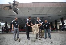 Wabup Sleman Danang Maharsa (kedua dari kiri) bersama jajaran pejabat Pemkab Sleman melepas burung dalam seremoni Puncak Peringatan Hari Lingkungan Hidup Dunia. (Foto: Istimewa)