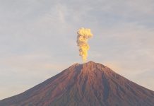 Gunung Semeru Erupsi, Kolom Abu Capai 800 Meter Gunung Semeru Erupsi (Foto: Istimewa)