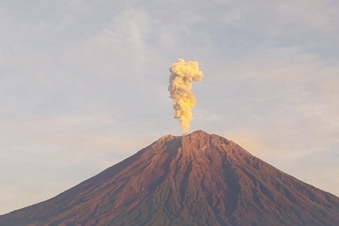 Gunung Semeru Erupsi (Foto: Istimewa)
