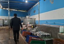 Korban Keracunan Makanan Program MBG di Sragen Capai 251 Orang Bupati Sragen Sigit Pamungkas saat meninjau SPPG Mitra Mandiri Gemolong-1, Senin (11/8/2025). (Dokumentasi Humas Pemkab Karanganyar)