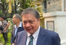 Menteri Koordinator Bidang Perekonomian Airlangga Hartarto (Foto: Istimewa)