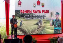 Panglima TNI: Kedaulatan Pangan Benteng Indonesia dari Intervensi Asing Panglima TNI Jenderal Agus Subiyanto dalam kegiatan Panen Raya Padi di lahan ketahanan pangan milik Kodam I/Bukit Barisan, Desa Sidoarjo Ramunia, Kabupaten Deli Serdang, Sumatera Utara, Kamis (10/7/2025).(Dokumentasi Pusat Penerangan (Puspen) TNI.)