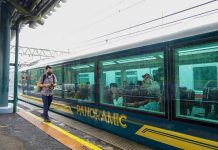 Ilustrasi kereta KAI Panoramic (Foto: Istimewa)